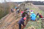 ZO Klenice v sobotu čistila pískový lom v Domousnici, kde budou v budoucnu hnízdit břehule a vlhy