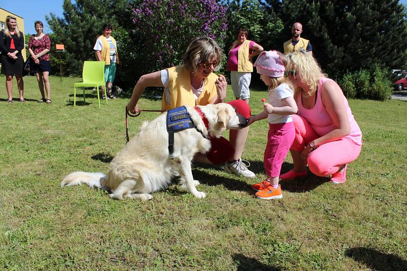 OBYVATELE LÉČEBNY dlouhodobě nemocných na Celně v Mladé Boleslavi ve čtvrtek odpoledne navštívila parta čtyřnohých kamarádů.