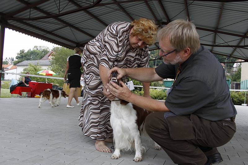 O víkendu proběhla na Krásné louce národní výstava Interdog Bohemia