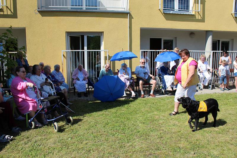 OBYVATELE LÉČEBNY dlouhodobě nemocných na Celně v Mladé Boleslavi ve čtvrtek odpoledne navštívila parta čtyřnohých kamarádů.