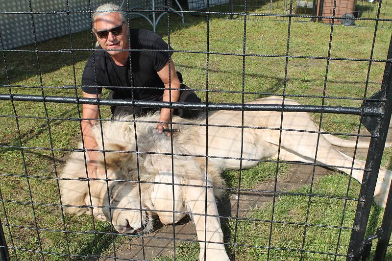 Cirkus Bernes, kterému neřekne nikdo jinak než Berousek , zde zahájí premiérovým představením druhou polovinu letošní sezony.