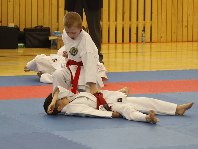 Auto Škoda - karate - krajské přebory 2013