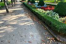Mlatové cesty v parku na Masarykově náměstí v Bělé pod Bezdězem projdou opravou.