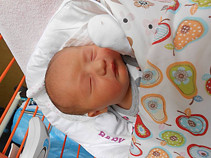 Dominika Lajtkepová se narodila 29. ledna, vážila 3,33 kg a měřila 49 cm. Maminka Kamila a tatínek Vladimír si ji odvezou domů do Mladé Boleslavi.