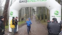 120 závodníků se vydalo vstříc několika tratím 34. ročníku Silvestrovského běhu v lesoparku Štěpánka v Mladé Boleslavi. Tu hlavní vyhrál Jiří Miler z domácího AC Mladá Boleslav.