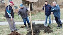 Sázení stromů v Čisté v rámci projektu Škoda Auto