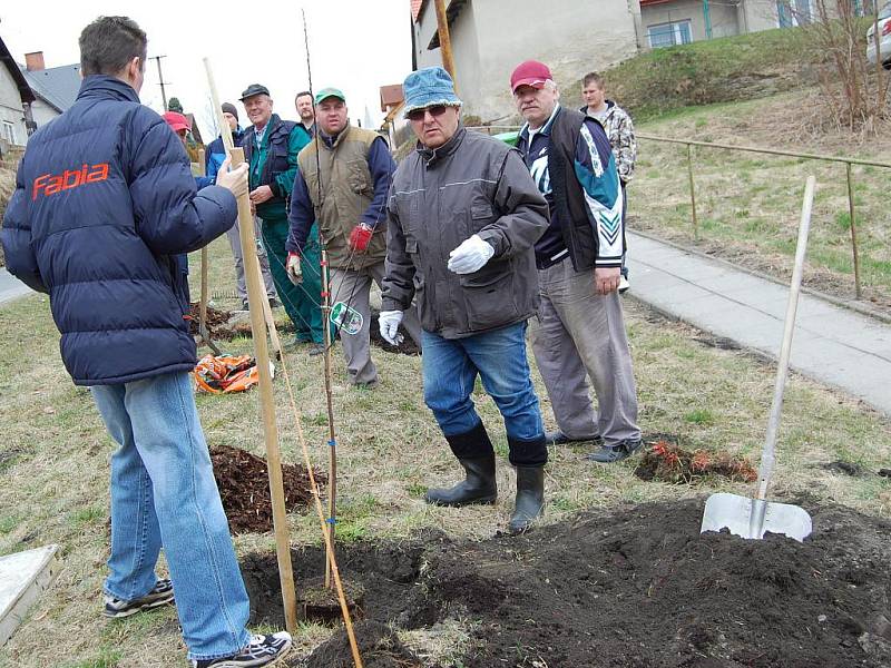 Sázení stromů v Čisté v rámci projektu Škoda Auto