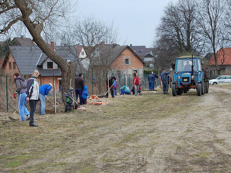 Sázení stromů v Čisté v rámci projektu Škoda Auto