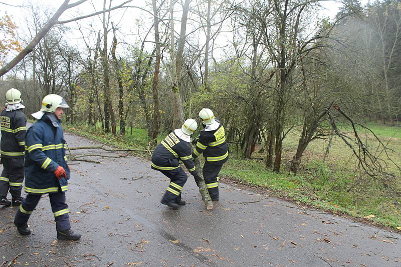 Větrná kalamita na Boleslavsku.