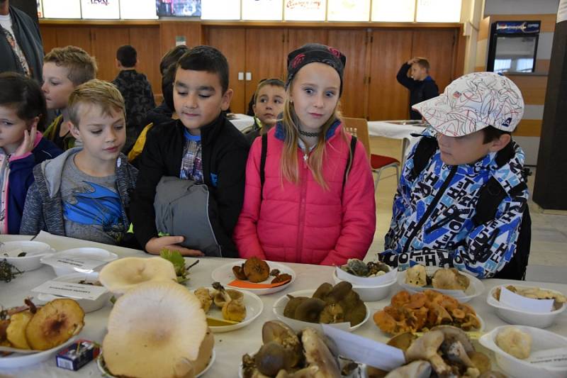 Na výstavu hub, která se uskutečnila v Kulturním Domě v Mladé Boleslavi, přišlo velké množství návštěvníků. 