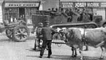 Okupace v Dobrovici, 1939