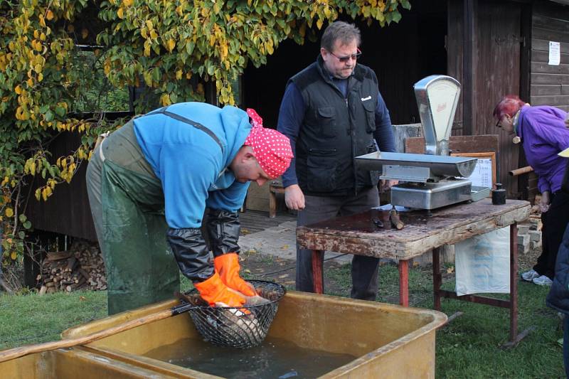 Výlov Bradleckého rybníka navštívily desítky lidí