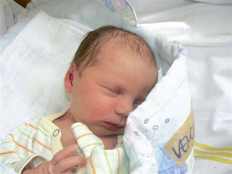 ELIŠKA Venclíčková se narodila v nymburské porodnici 20. srpna v 8.44 hodin. Vážila 3,12 kilogramů a měřila 48 centimetrů. Doma je s rodiči Michaelou a Zbyškem a bratry Tomáškem a Martínkem ve Velkých Všelisech na Mladoboleslavsku. 