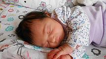 Karolínka Libichová se narodila 7. února, vážila 2,74 kg a měřila 48 cm. Maminka Pavla a tatínek Patrik si ji odvezou domů do Luštěnic.