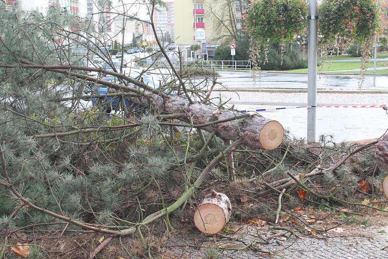 Větrná kalamita na Boleslavsku.