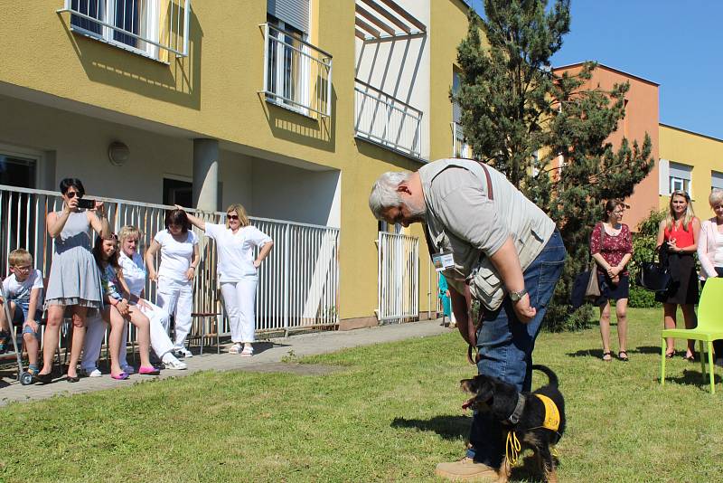 OBYVATELE LÉČEBNY dlouhodobě nemocných na Celně v Mladé Boleslavi ve čtvrtek odpoledne navštívila parta čtyřnohých kamarádů.