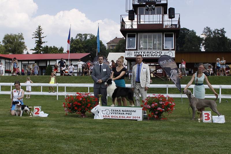 O víkendu proběhla na Krásné louce národní výstava Interdog Bohemia