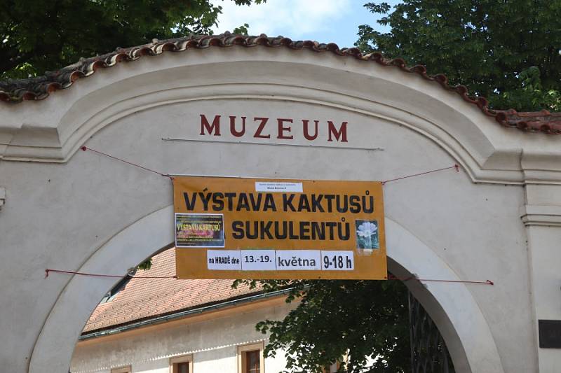 Výstava kaktusů.