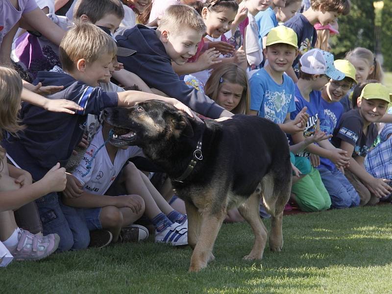 Ajaxův zápisník 2013 - Policie ČR Ml.Boleslav