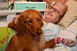 Canisterapeutičtí psi dělají radost pacientům několika oddělení boleslavské nemocnice.