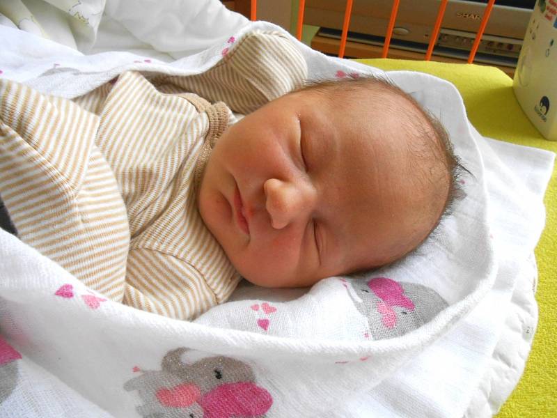 EVA Havlíčková se narodila 9. ledna, vážila 3,7 kg a měřila 50 cm. Maminka Marcela a tatínek Tomáš si ji odvezou domů do Bezna, kde už se na ni těší bráška Tomík.