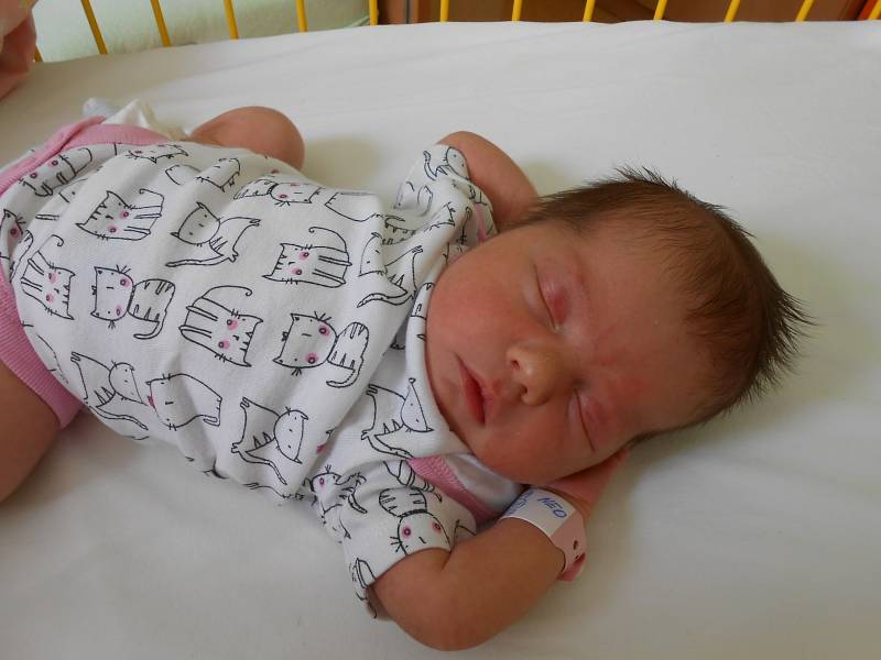 JANA Stará se narodila 1. srpna, vážila 2870 gramů a měřila 48 centimetrů. S maminkou Janou, tatínkem Stanislavem a bráškou Stáníčkem (5 let) budou bydlet v Mladé Boleslavi.