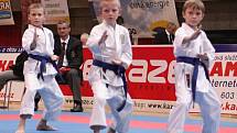 Vánoční cena v karate 2011