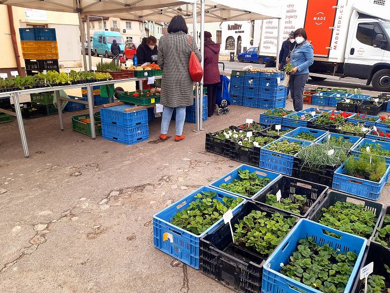 Farmářské trhy jsou zpátky také v Benátkách nad Jizerou