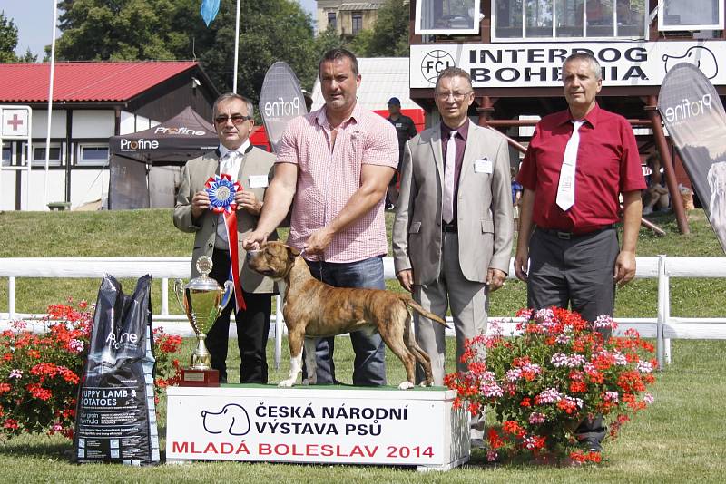 O víkendu proběhla na Krásné louce národní výstava Interdog Bohemia