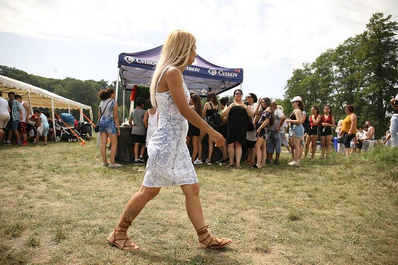 Na Krásné louce se v sobotu uskutečnil 4. Romský festival, který lákal na hudební vystoupení, ale také na několik celebrit.