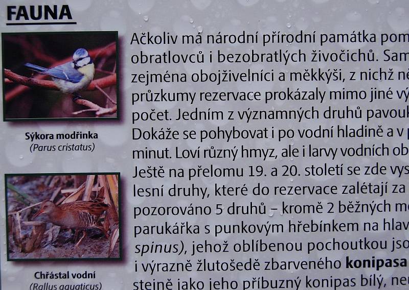 Naučná stezka Klokočským lesem za hrou, vodou a ptačím zpěvem.