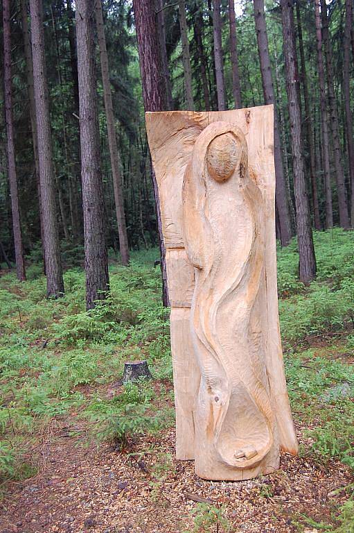 Naučná stezka Klokočským lesem za hrou, vodou a ptačím zpěvem.