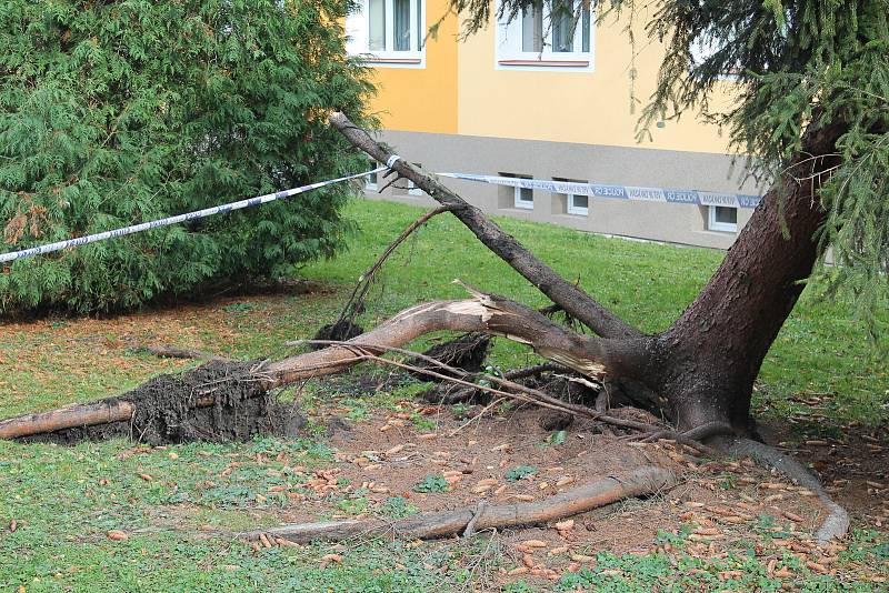 Větrná kalamita na Boleslavsku.