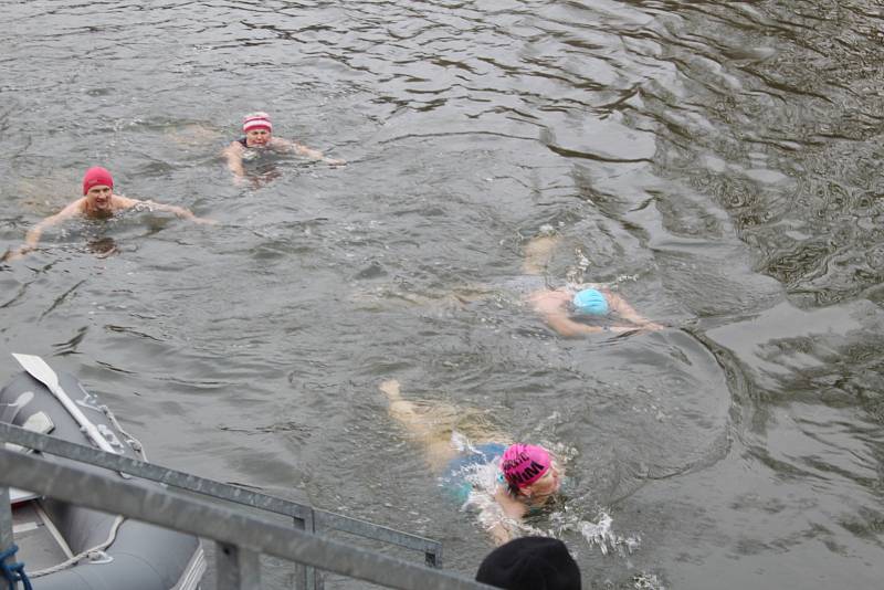 Ze třetího ročníku soutěže zimních plavců na řece Jizeře u Krásné louky v Mladé Boleslavi.