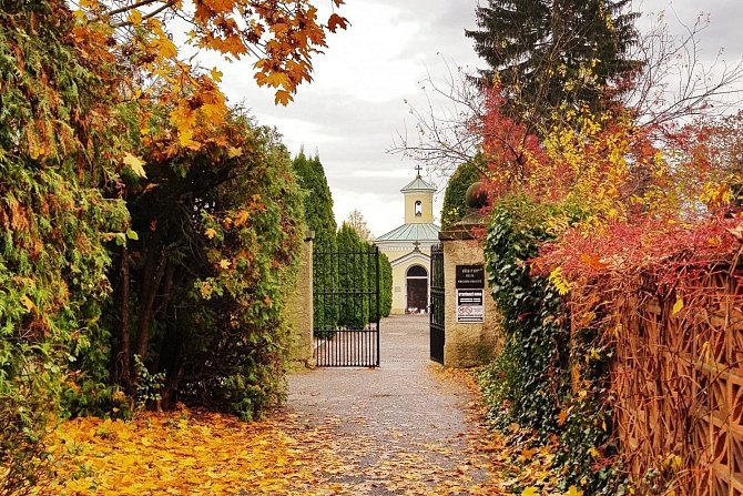 Začátek procházky je u hlavního vchodu na hřbitov 4. listopadu v 10.00.
