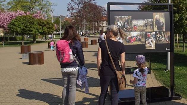 V městském parku Výstaviště bude po celý květen k vidění putovní fotografická výstava k unikátnímu projektu pražské Botanické zahrady s názvem Kořeny osobností. 