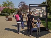 V městském parku Výstaviště bude po celý květen k vidění putovní fotografická výstava k unikátnímu projektu pražské Botanické zahrady s názvem Kořeny osobností. 