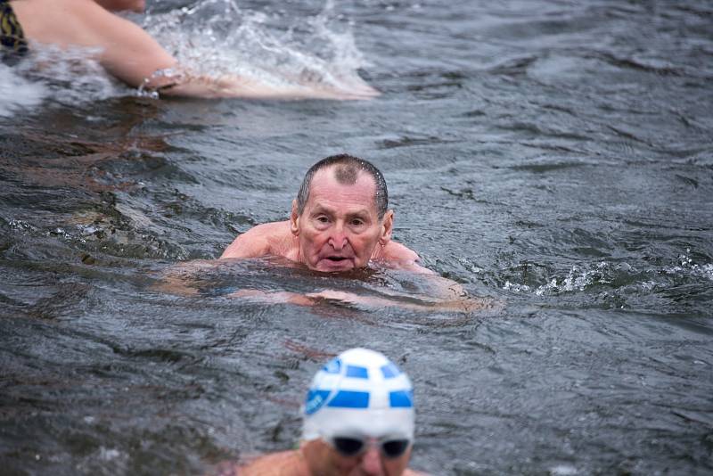 Z plaveckých závodů otužilců na Jizeře v Mladé Boleslavi