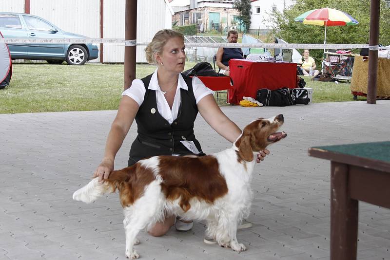 O víkendu proběhla na Krásné louce národní výstava Interdog Bohemia