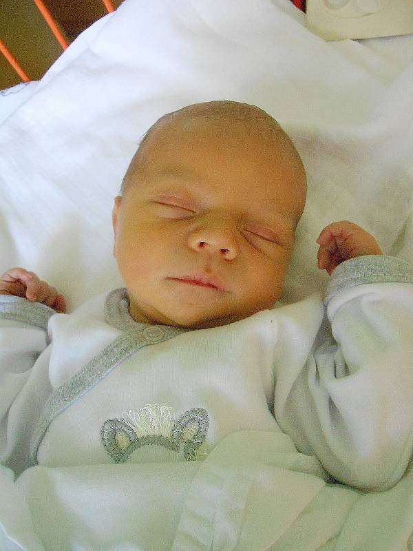 Štěpán Dědina se narodil 25. listopadu mamince Andree a tatínkovi Danielovi z Benátek nad Jizerou. Vážil 3,09 kg a měřil 49 cm. 