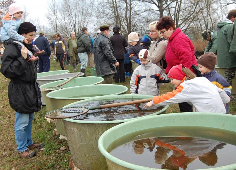 Výlov rybníka se stal velkou podívanou především pro děti