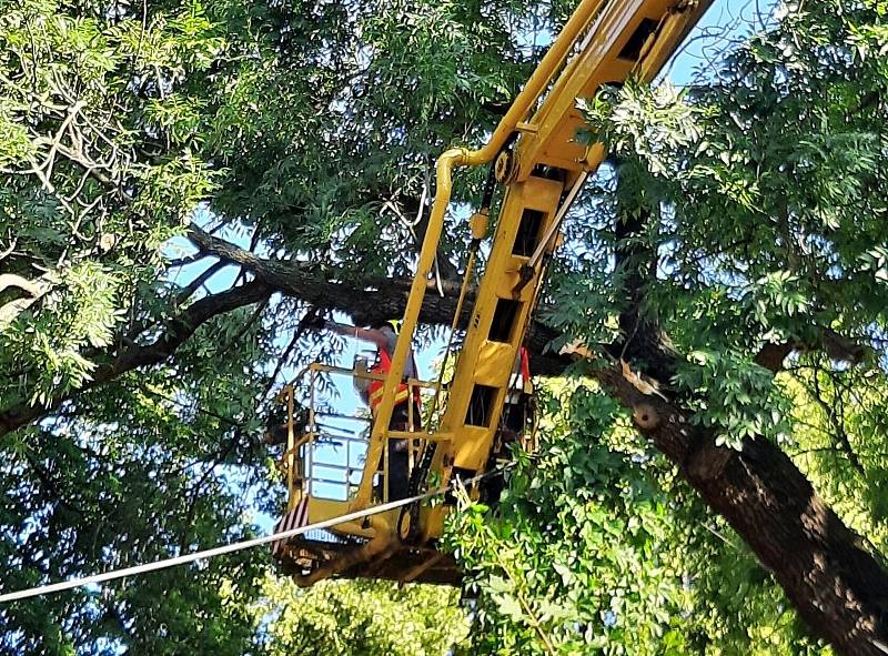 Nečekaný pád stromu na dům a do elektrického vedení zaměstnal v pátek ráno jednotku nymburských drážních hasičů.