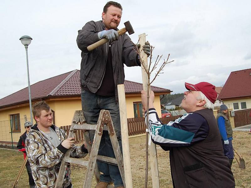 Sázení stromů v Čisté v rámci projektu Škoda Auto