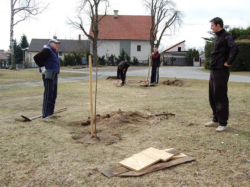 Sázení stromů v Čisté v rámci projektu Škoda Auto