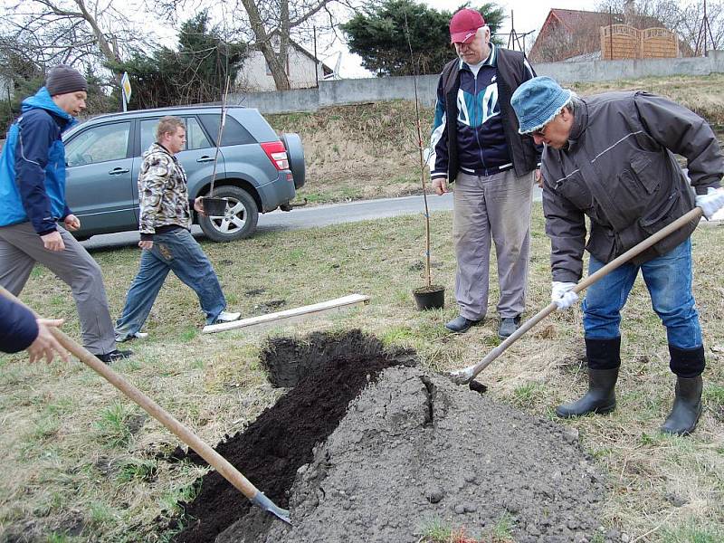 Sázení stromů v Čisté v rámci projektu Škoda Auto