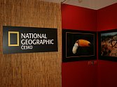 Časopis National Geographic (vydavatelství Vltava Labe Media)