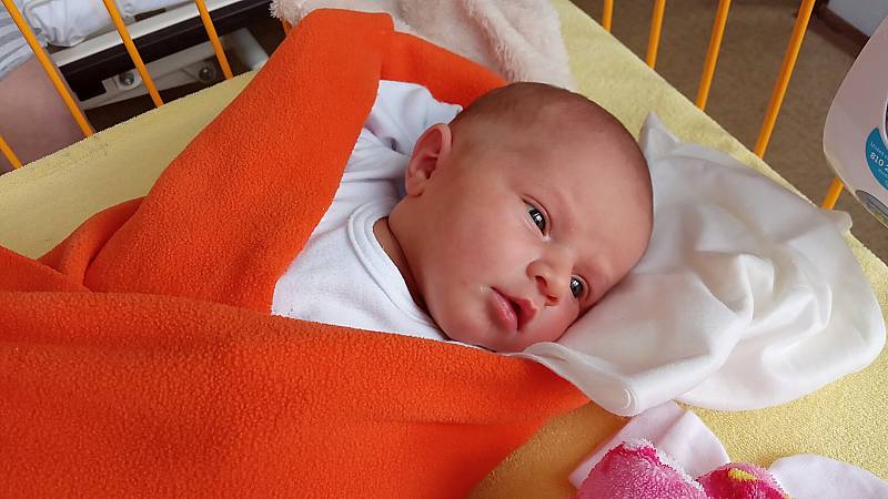 Anička Petráková se narodila 24. ledna, vážila 3,36 kg a měřila 50 cm. Maminka Jana a tatínek Jan si ji odvezou domů do Úhelnice.
