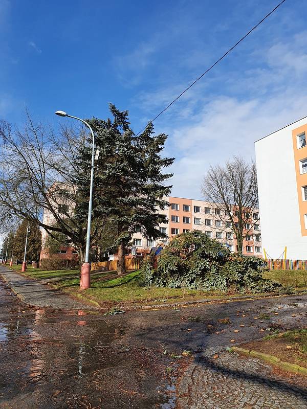 Dozvuky vichřice v Mnichově Hradišti