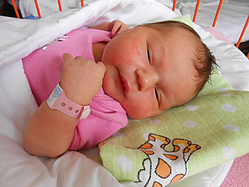 Sofie Ledecká se narodila 5. září, vážila 3,97 kg a měřila 49 cm.  S maminkou Renatou a tatínkem Michalem bude bydlet v Brandýse nad Labem. 