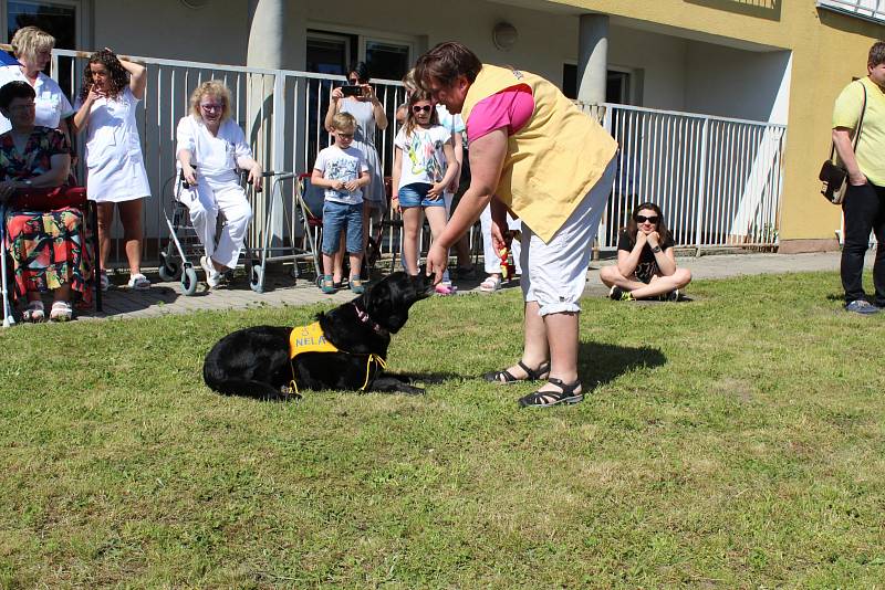 OBYVATELE LÉČEBNY dlouhodobě nemocných na Celně v Mladé Boleslavi ve čtvrtek odpoledne navštívila parta čtyřnohých kamarádů.